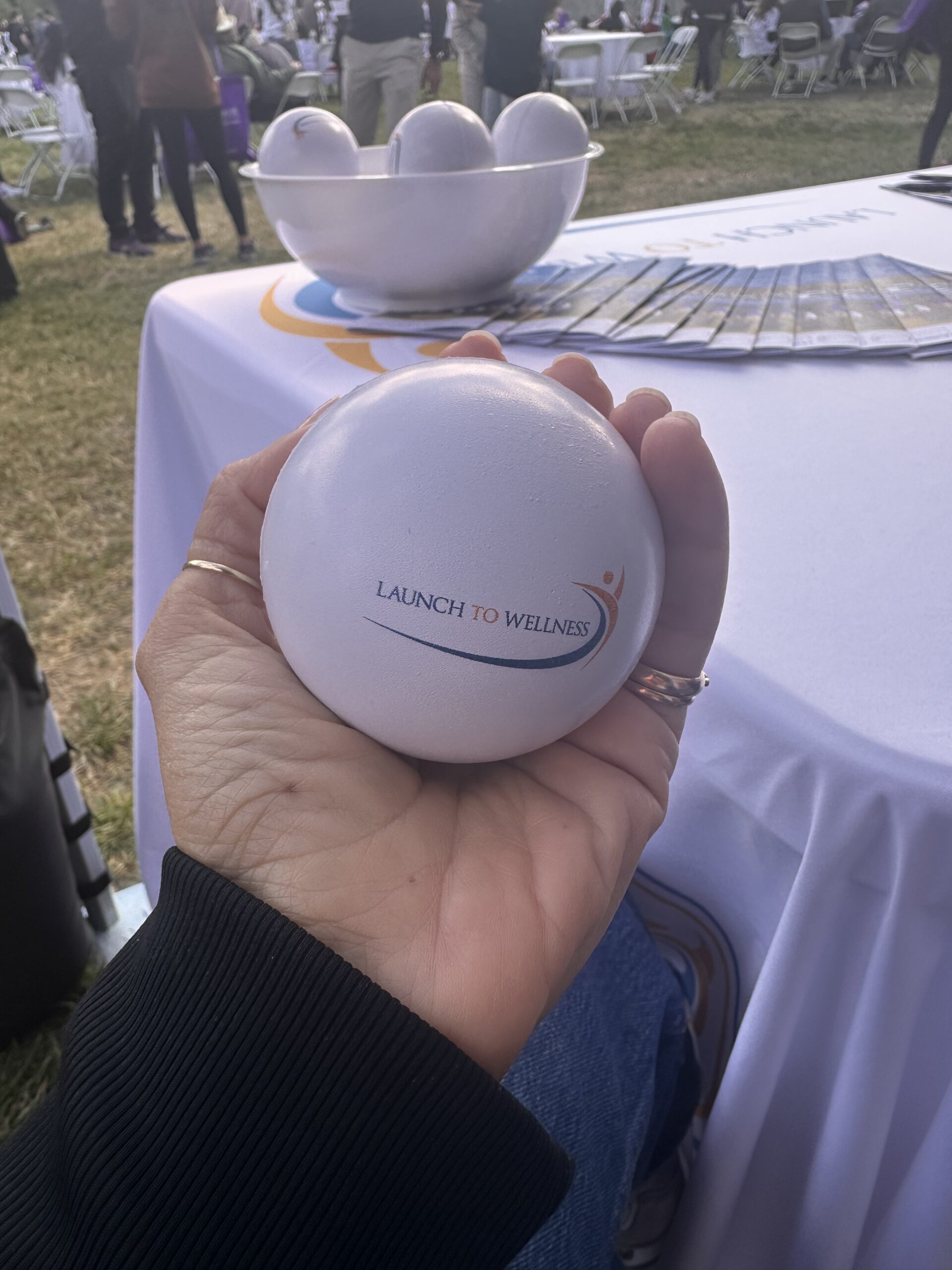 Launch To Wellness stress ball held at a community event in the San Fernando Valley