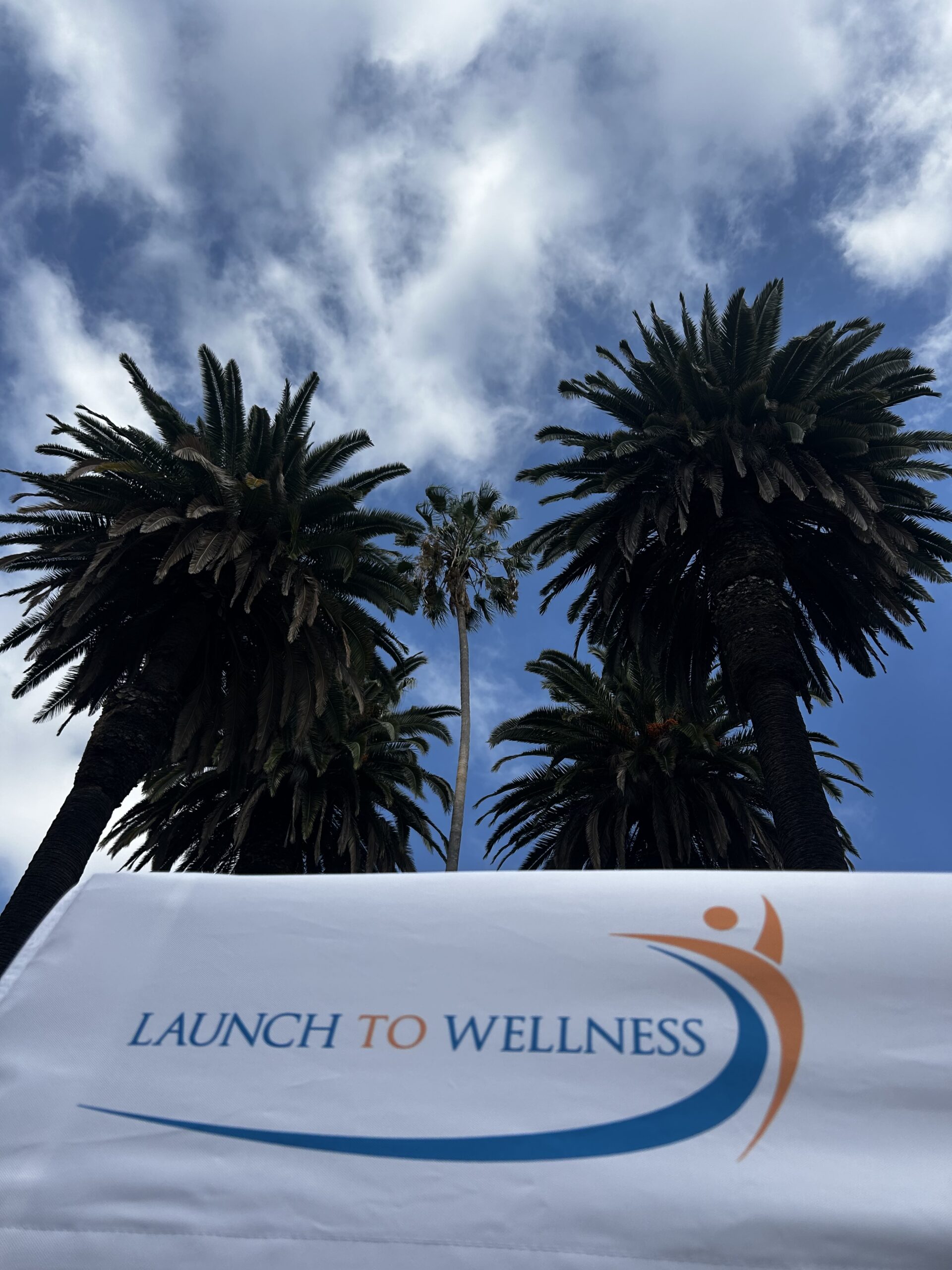 Launch To Wellness banner under palm trees at a community event