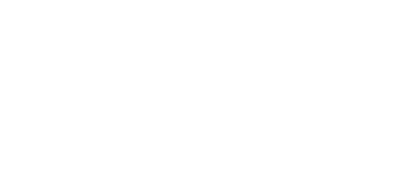 Blue Cross Blue Shield