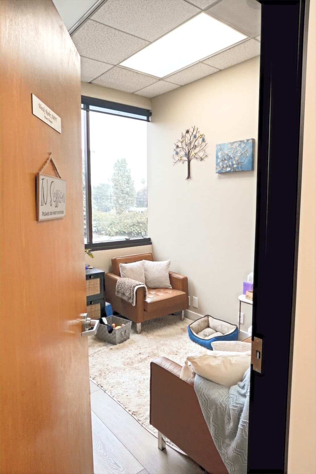 Private therapy office at Launch To Wellness in Woodland Hills
